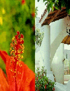 Architettura in stile eoliano